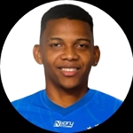 Pedro Henrique Souza Santos