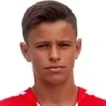 Roko Markulin