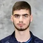 Abdulah Šišić