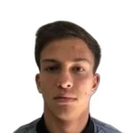 Henrique dos Santos de Oliveira