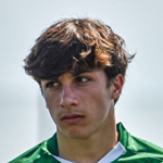 Afonso  Nunes Pereira