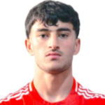 Faridahmad Omerzai
