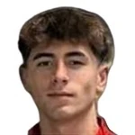 Ahmet Ipek
