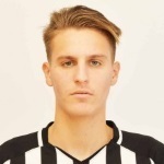 صورة فيغناتي، لورينزو