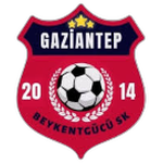 شعار Beykentgücü 2014