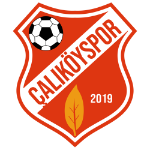 شعار Çalıköyspor