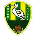 شعار CS Bradul Groșii Țibleșului U19