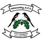 شعار Holsworthy AFC