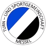 شعار TSG Messel
