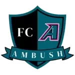 Saint Louis Ambush شعار Saint Louis Ambush