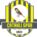 شعار 49 Çataklıspor