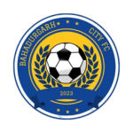 شعار City Bahadurgarh FC