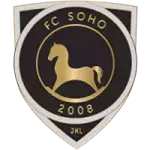 شعار FC Soho