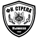 FC Strela 2003 Valkosel شعار FC Strela 2003 Valkosel
