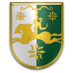 شعار SSh-Gudauta Novosibirsk