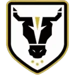 شعار Bulls FC Academy