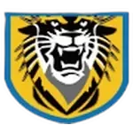 شعار Nanjing Tehu