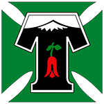 شعار Deportes Temuco U20