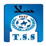 TS Salé شعار TS Salé