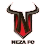 Toros Neza