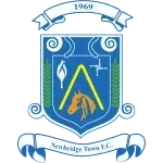 Newbridge Town شعار Newbridge Town