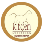 شعار Kincsem SE U17