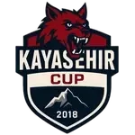 شعار Kayaşehir CUP