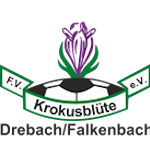 FV Krokusblute Drebach