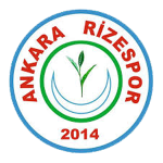 شعار Ankara Rize Gençlikspor