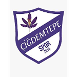 Çiğdemtepespor شعار Çiğdemtepespor