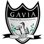 شعار Gavia II Choszczno