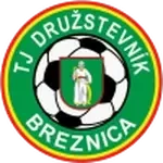 شعار Tj Druzstevnik Breznica