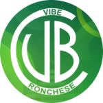 شعار Vibe Ronchese