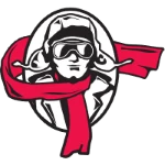 شعار Lewis Flyers