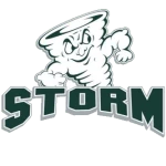 شعار Lake Erie Storm