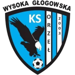 شعار Orzeł Wysoka Głogowska