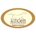 شعار Kincsem SE U19