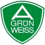 شعار SV 1908 Grün-Weiß Ahrensfelde U19
