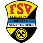 شعار FSV Glückauf Brieske/Senftenberg U19