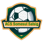 شعار ACS Someşul Sălsig