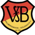 شعار VfB Hallbergmoos