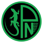 F.C. Nuovo Pordenone 2024 شعار F.C. Nuovo Pordenone 2024