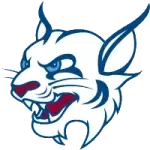 شعار Saint Thomas Bobcats