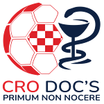 شعار VNK Cro Docs