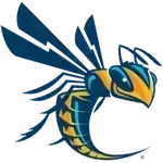 شعار Cedarville Yellow Jackets