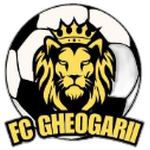 شعار FC Gheogarii
