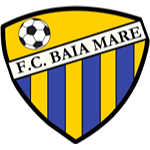 شعار FC Baia Mare U19
