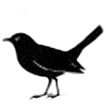 شعار Rot-Weiß Merl