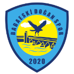 شعار Babaeski Doğanspor