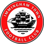 شعار Immingham Town FC